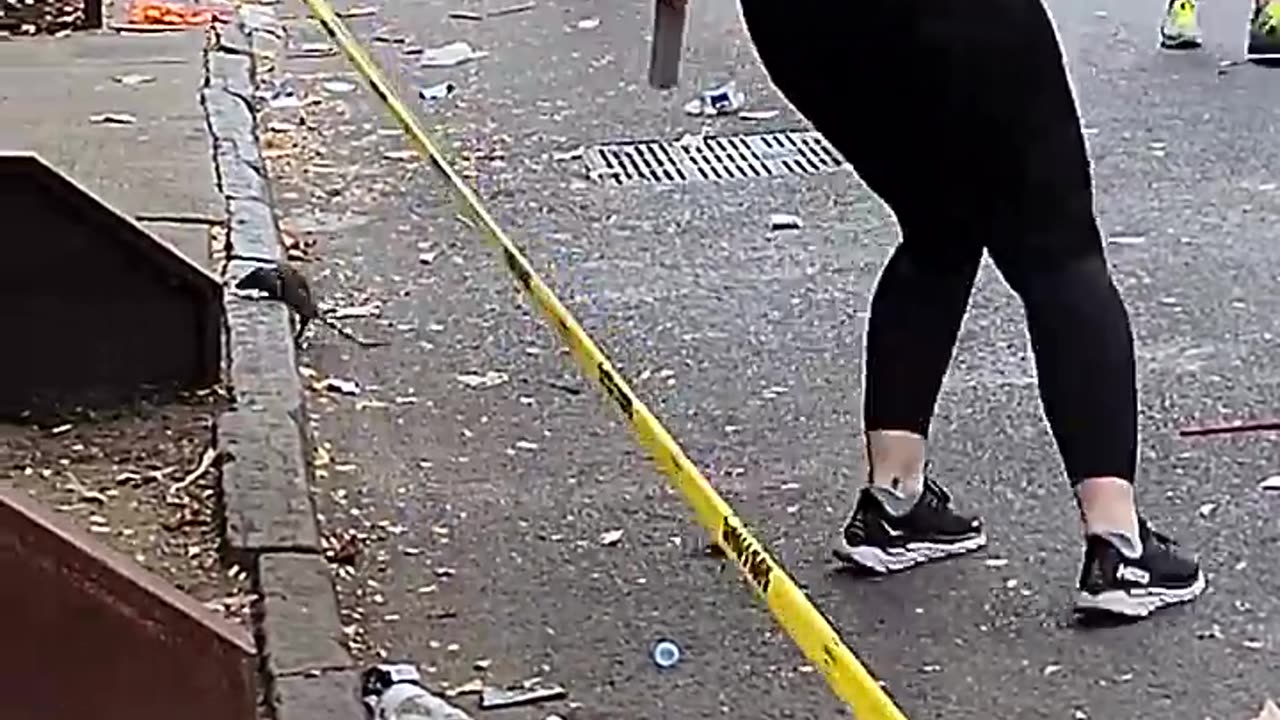 Rat Chases Woman at NYC Marathon