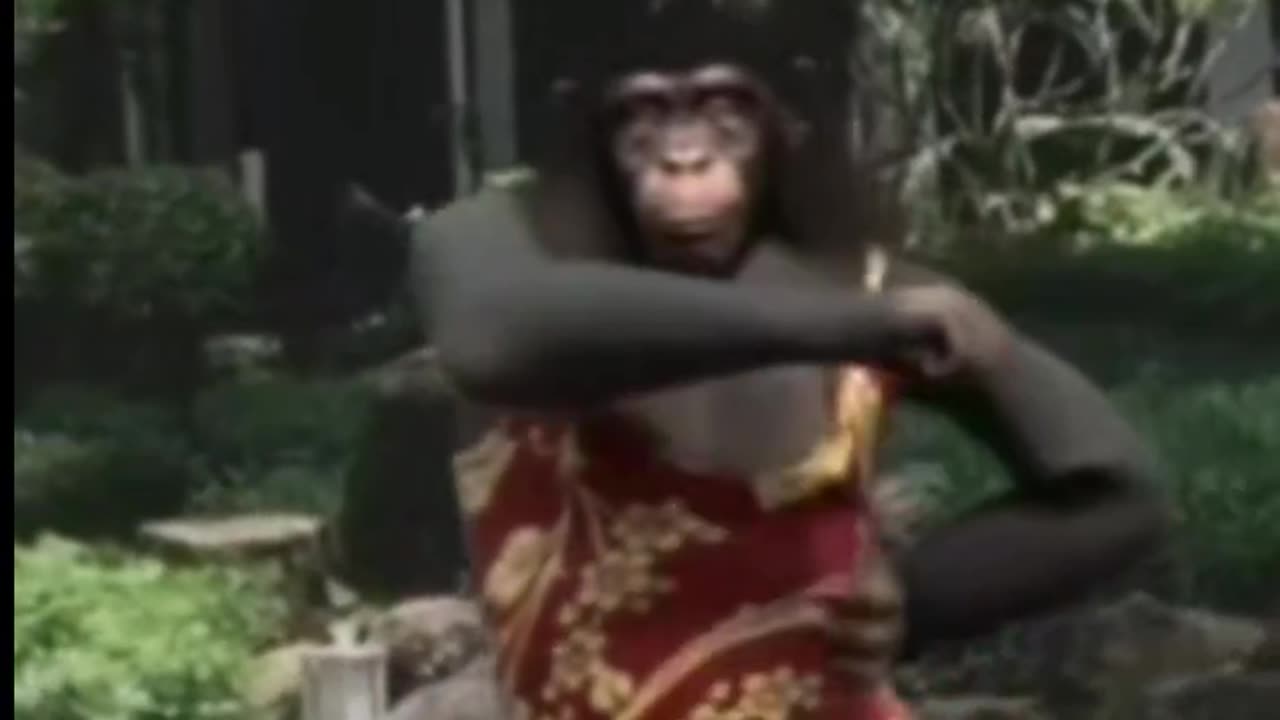 Monkey Dance Rumble: The Ultimate Showdown