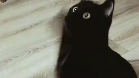 Black angel 2