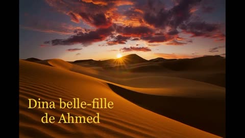 Témoignage de Dina belle-fille de Ahmed [Moualek]