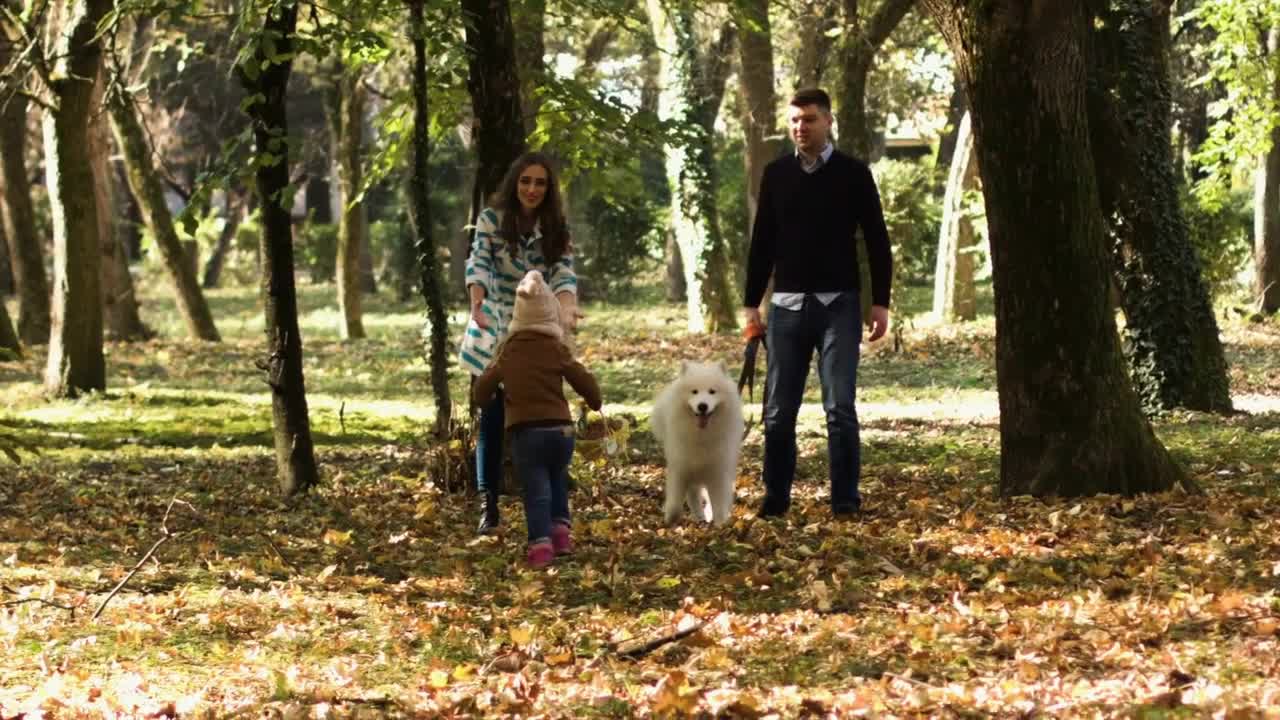 Happy young family spending time together at the autmn park with white samoyed dog on sunny day