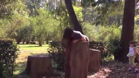 Best funny video