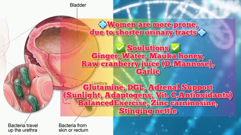 Urinary Tract Infections Natural Remedies