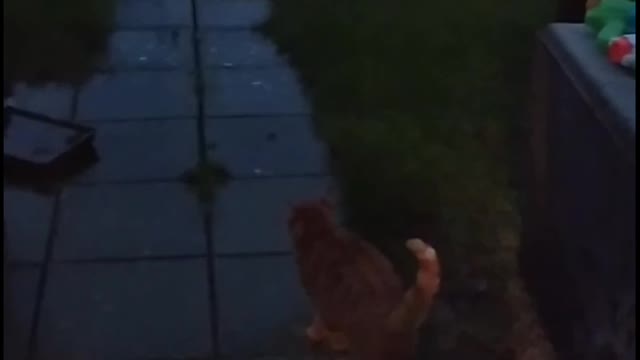 I dont like rain