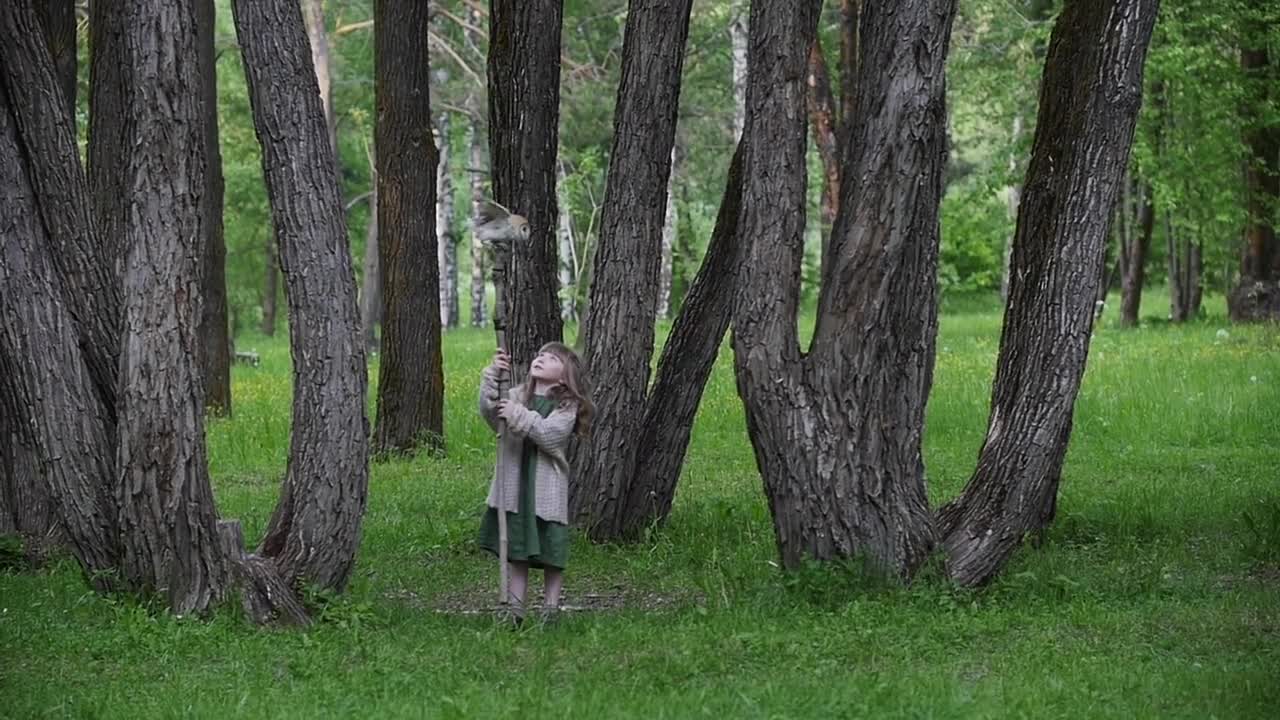 Little girl with an owl in a fairy forest. Friends