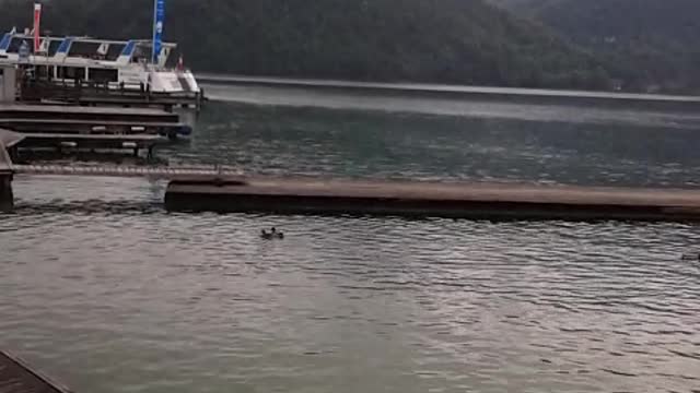 Lake Wolfgang (Austria)