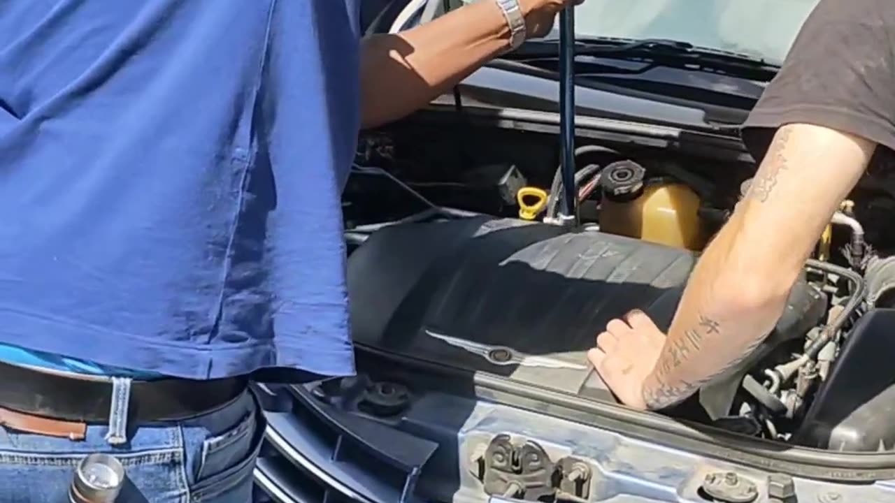 Removing a Venomous Snake From a Car Engine