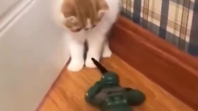 Funny moments with animal #funny #part