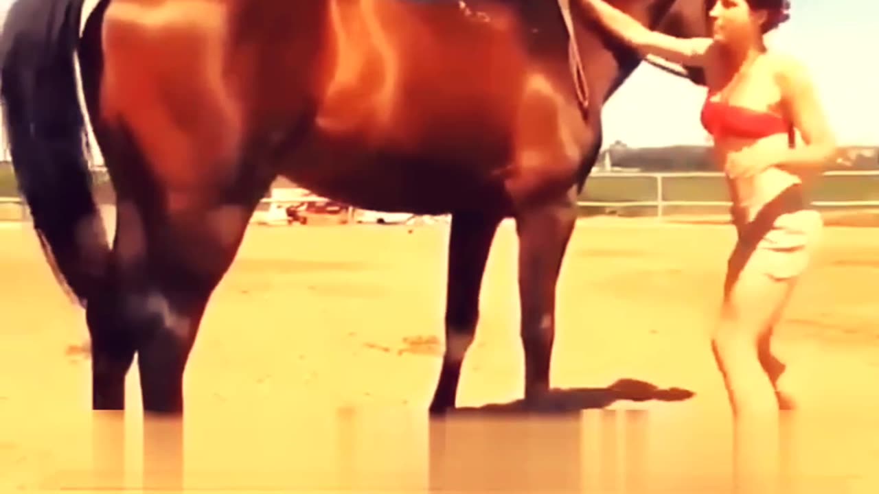 The Horse went