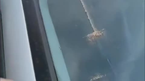 Film dla tych, którzy wciąż wierzą w szlaki kondensacyjne w prostym, jasnym, zakazanym