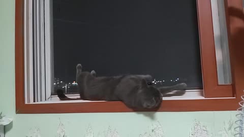 I don't know what's wrong with the cat.