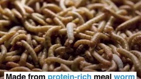 The Globalist Elitist wants u to Eat this