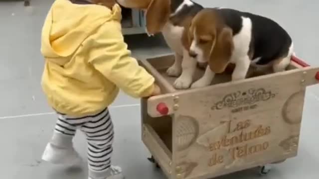 Baby and Dogs 🐶 | Baby and Dog Enjoying #shorts