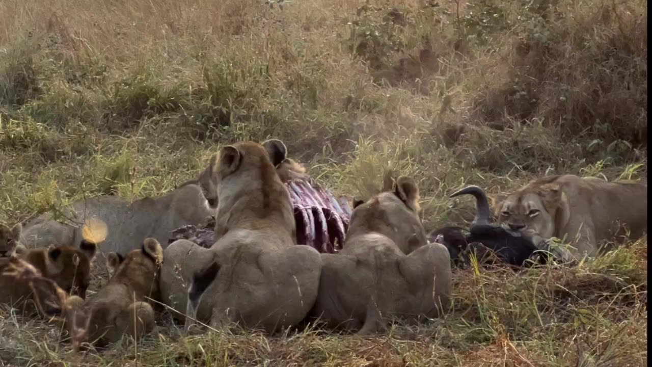 a beautiful sunrise with a feast