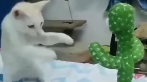 Funny