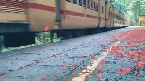 Beautiful Scenery | Good Vibes