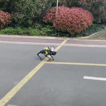 Shanghai Robot Dogs barking orders at you !!