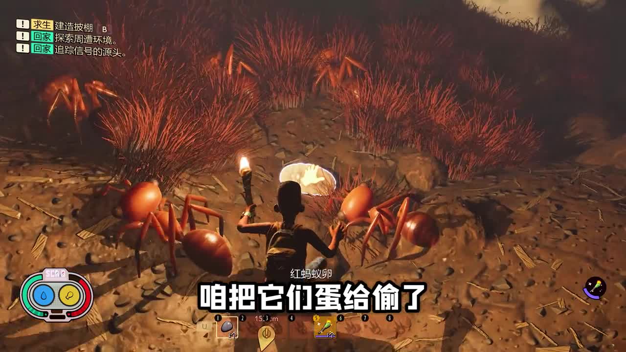 Fighting Ant And Giant Spiders Part.1