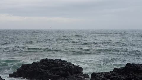 Jeju island #seas#basalt#sky