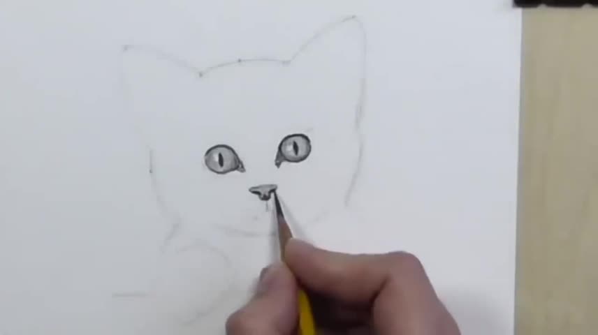 Teach You To Draw A Kitten's Nose.