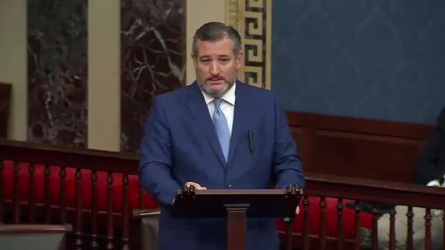 Senator Cruz Talks “Biden Cages” , Dares Democrats to Visit Border