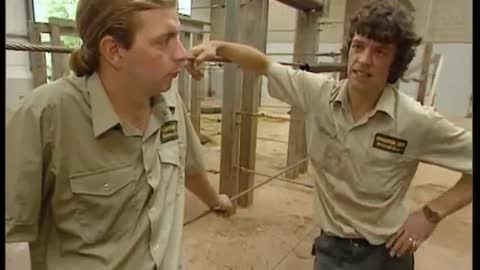 Total Eclipse at the Zoo | The Zoo Keepers | BBC Earth