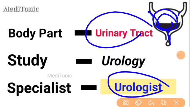 How to check Doctor speciality from body parts disease