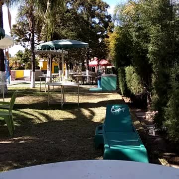 Jesus Truther Episode #34 See Christ's Omnipresent bearded face in the same trees?