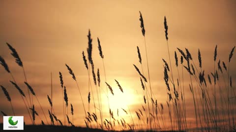 Relax and Enjoy a Stress-Free Moment
