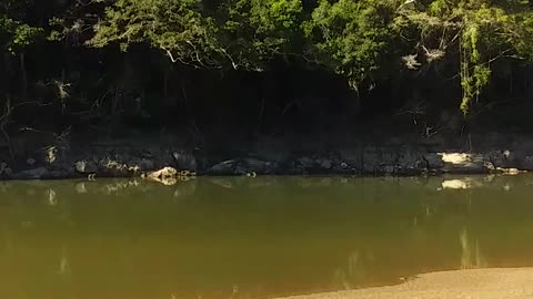 16.6.2024 The Barron River, Kuranda