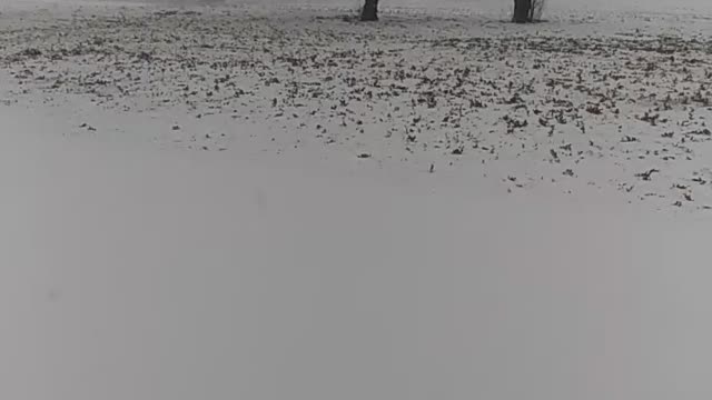 Global warming by kiki