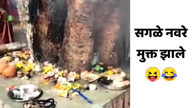Vasavitri