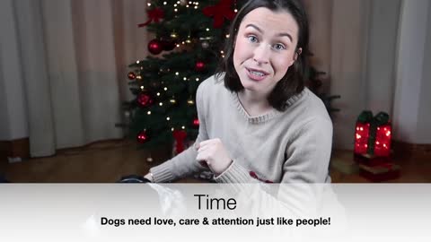 funniest dog videos Christmas