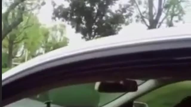Black Teacher Calls LA Deputy 'Mexican Racist' 'You'll Never Be White'
