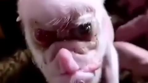 1k6. 🔴》Know: What's happening in the world isn't epic, it's Biblical