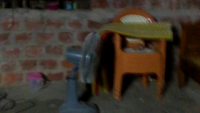 Đi dạo trong nhà và ngắm nhìn những thứ trong nhà.