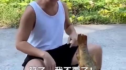 A story of fish selling 😂 funny video #shorts #funnyvideo #funny #comedy
