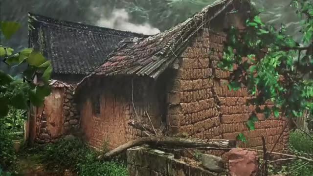 Nature Video
