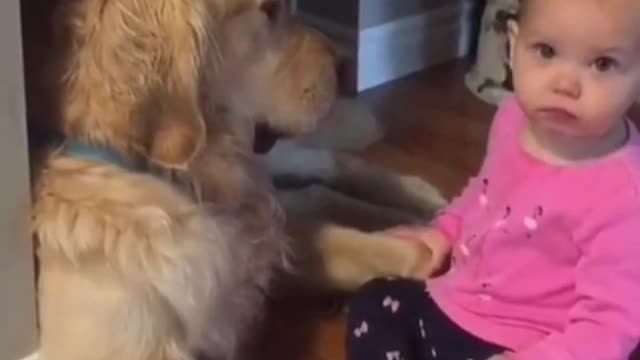dog funny #shorts 2022🐕🐕🐕🐕🐕🐕🐕🐕