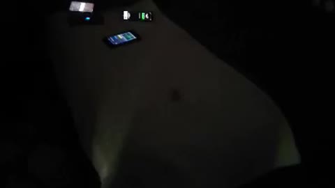 Petball Activity in Satanic teenage room