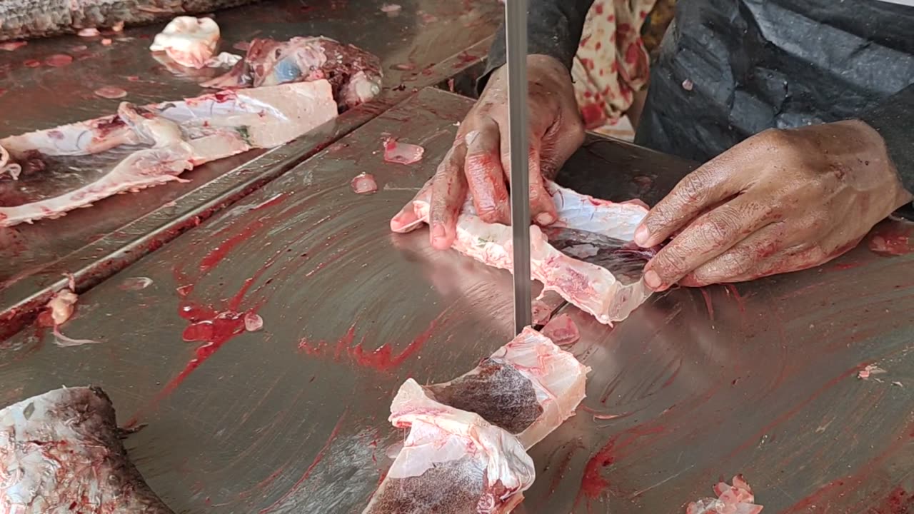 Big Rohu Fish Fast Cutting By Fast Cutter In Fish Market l Fish point