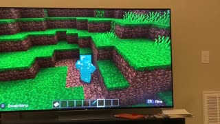 My Minecraft Character Glitch