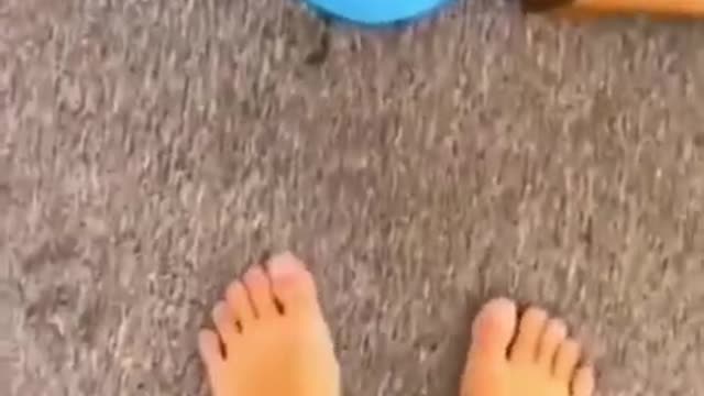 kitty cats meowing - Funny Cat Videos - sam and cat - doja cat - cat videos funny