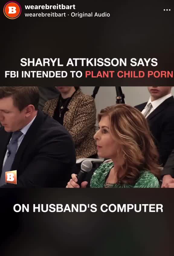 So the FBI wanted to plant child porn on a Sharyl Attkisson's Husband's computer?
