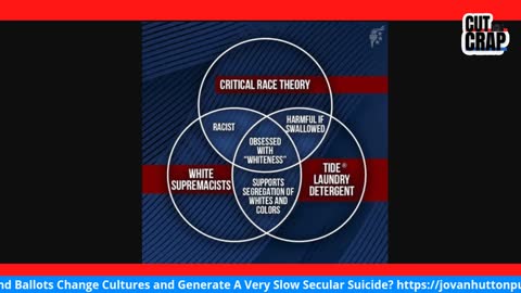Critical Race Theory? How Do Votes and Ballots Change Cultures?