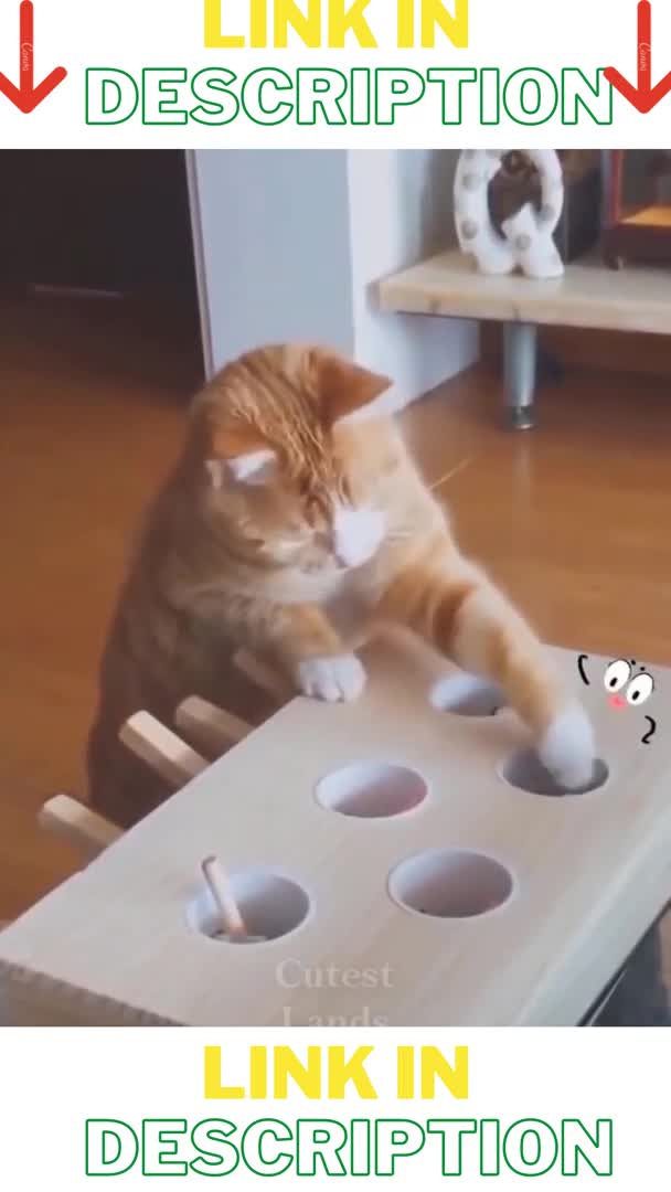 Cat Rumble Cat video