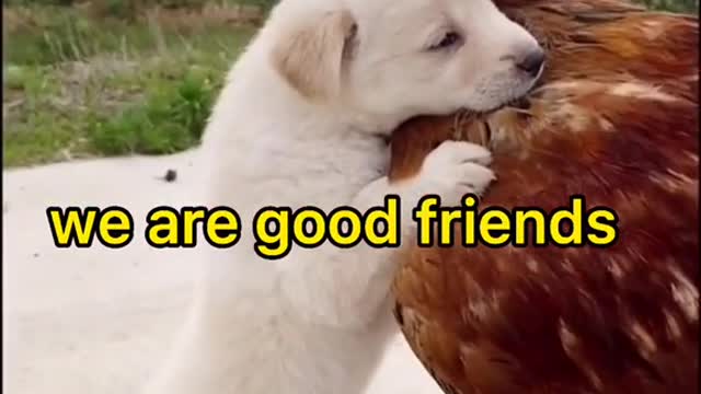Take a look at these besties 😍 💯
