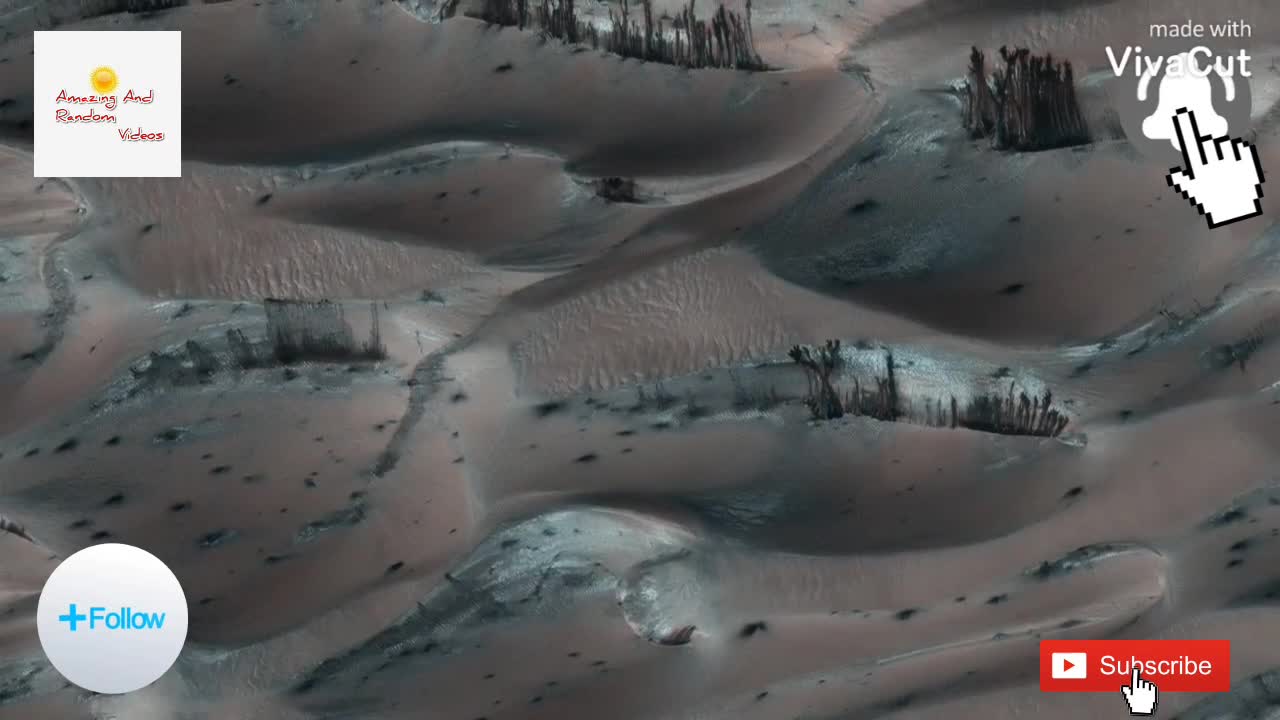 WILD Bushes On Mars