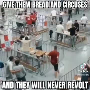 UNEBELIEVABLE - Caged like animals and they like it