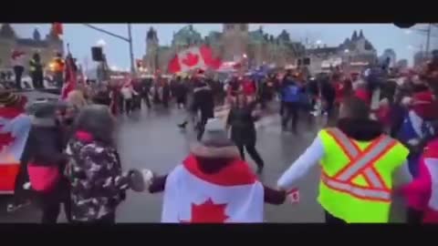 The best video I've seen on the Canadian convoy